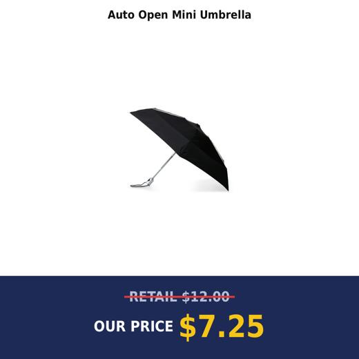 Auto Open Mini Umbrella