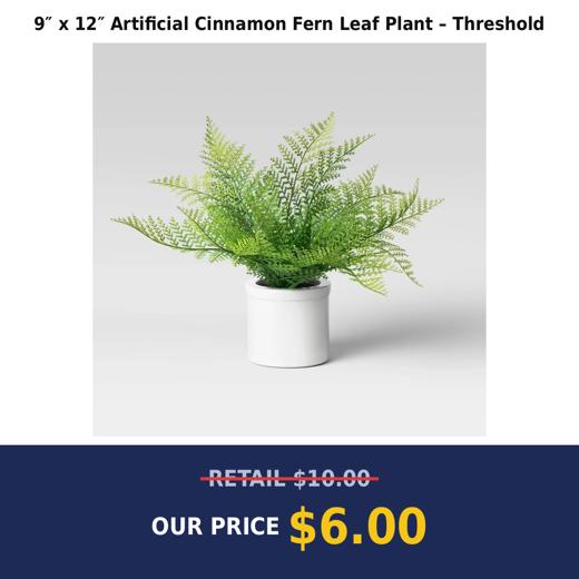 9″ x 12″ Artificial Cinnamon Fern Leaf Plant – Threshold