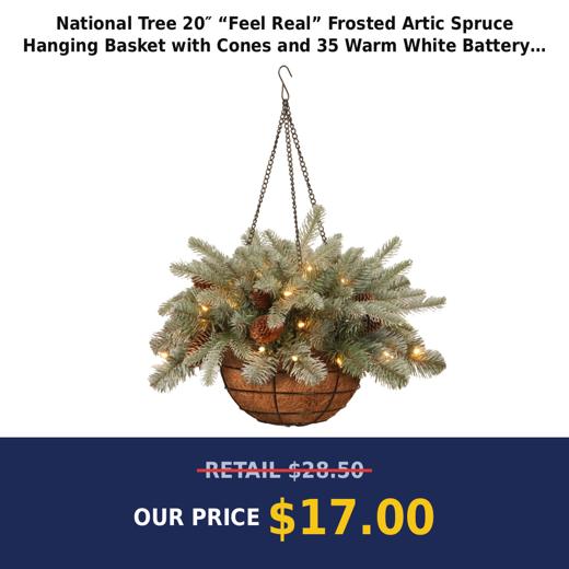 National Tree 20″ “Feel Real” Frosted Artic Spruce Hanging Basket with Cones and 35 Warm White Battery Operated Led Lights with Timer