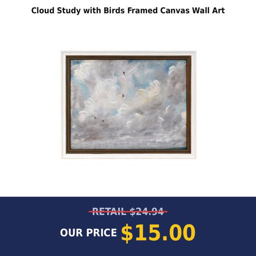 Cloud Study with Birds Framed Canvas Wall Art