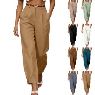 Pleated Barrel Pants