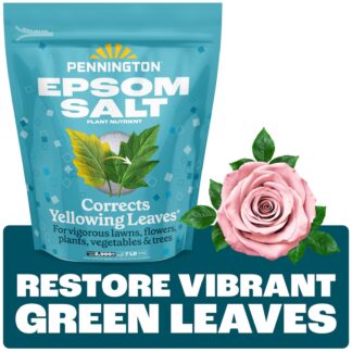 Pennington Epsom Salt Plant Nutrient