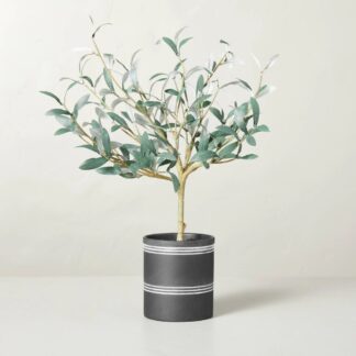 21" x 12" Faux Olive Leaf Ceramic Pot Arrangement - Hearth & Hand with Magnolia