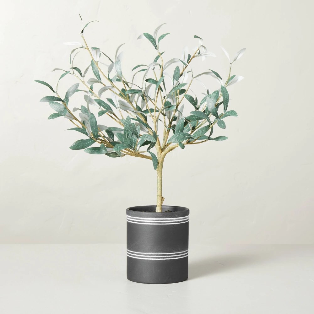 21" x 12" Faux Olive Leaf Ceramic Pot Arrangement - Hearth & Hand with Magnolia