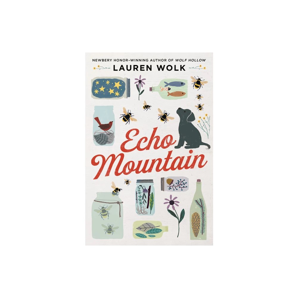 Echo Mountain - By Lauren Wolk ( Paperback )