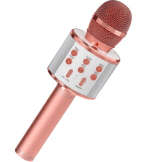 Wireless Bluetooth Karaoke Microphone Speaker, All-in-One with Echo Effects, 10H Battery