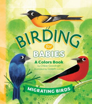Birding for Babies: Migrating Birds: A Colors Book, (Board Book)