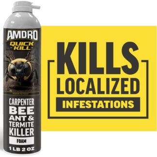 Amdro Quick Kill Carpenter Bee, Carpenter Ant & Termite Killer Foam; 18 oz.