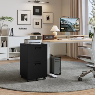 Gianna 2-Drawer Rolling File Cabinet with Lockable Wheels, Printer Stand with Storage